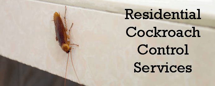 Residential Cockroach Treatment